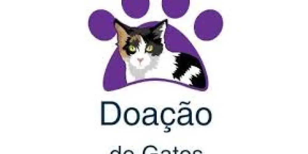 Imagem do grupo de WhatsApp Doação de gatos/Fortaleza - CE