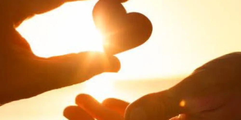 Imagem do grupo de WhatsApp Doações 2025