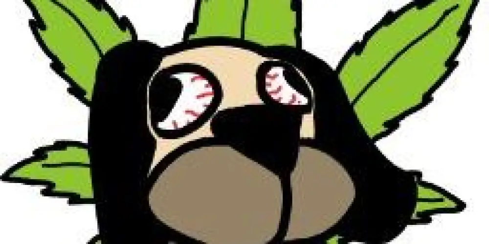 Imagem do grupo de WhatsApp Dogrados