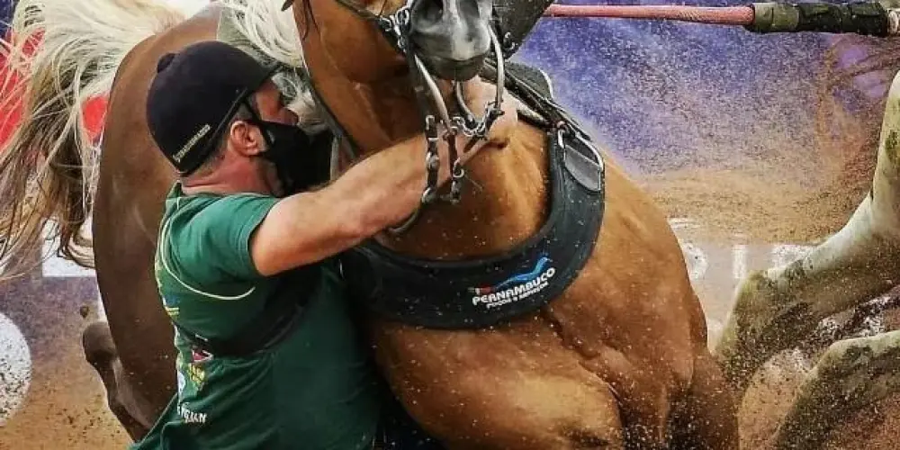 Imagem do grupo de WhatsApp Doidinho por vaquejada