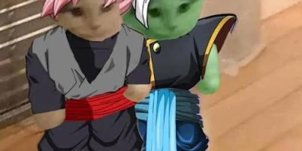 Imagem do grupo de WhatsApp Dokkan Brasil