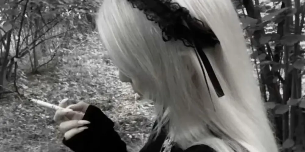 Imagem do grupo de WhatsApp Dollmaxxing