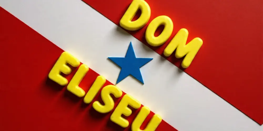 Imagem do grupo de WhatsApp Dom Eliseu PÁ