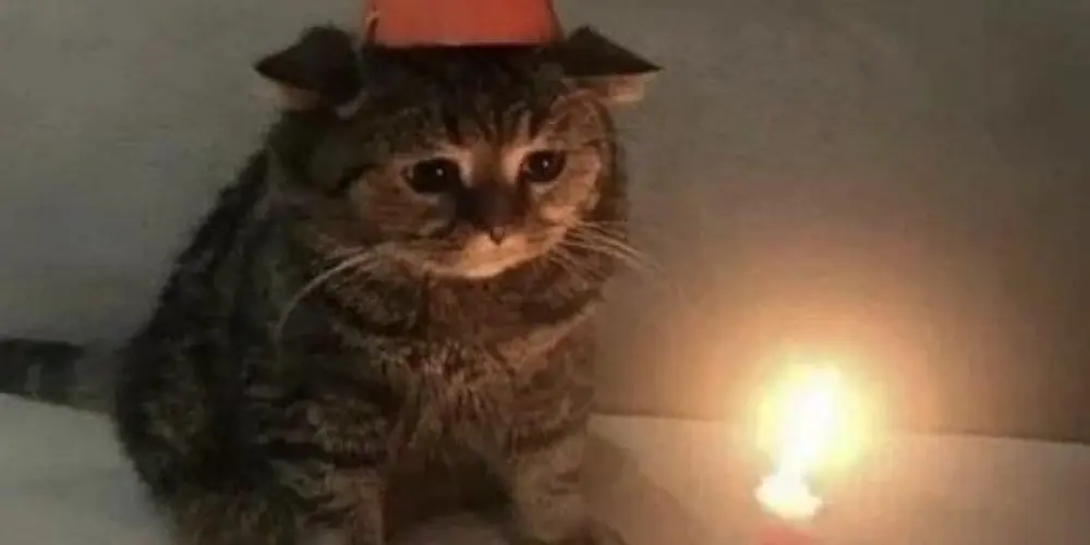 Imagem do grupo de WhatsApp Don’t spoil it.