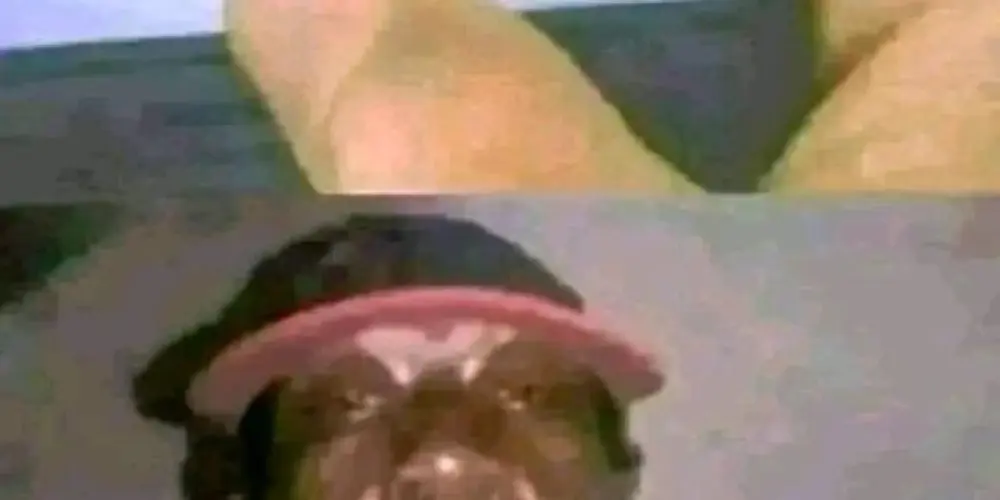 Imagem do grupo de WhatsApp Dor na coluna