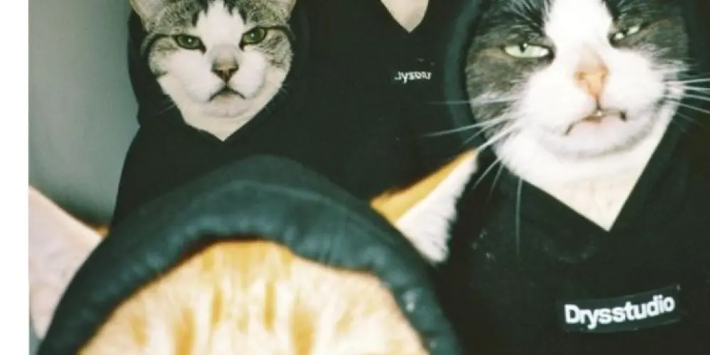 Imagem do grupo de WhatsApp Dragaos