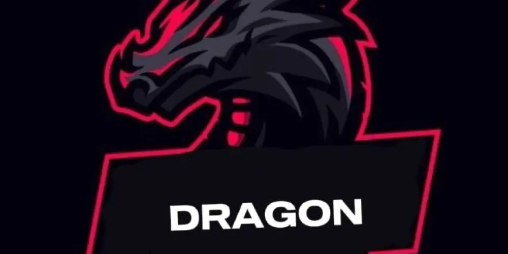 Imagem do grupo de WhatsApp DRAGON