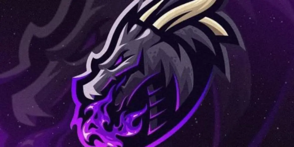Imagem do grupo de WhatsApp DRAGON STORM