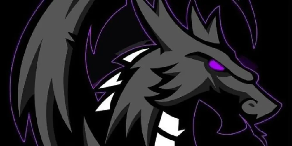 Imagem do grupo de WhatsApp DRAGONGG - ELITE GUILDA COMPETITIVA