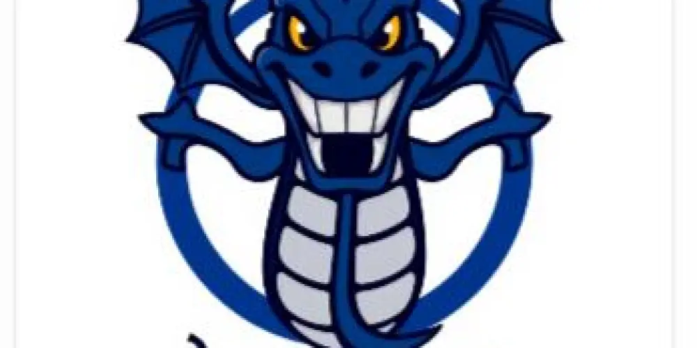 Imagem do grupo de WhatsApp Dragons Killer