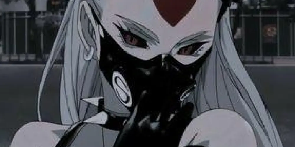 Imagem do grupo de WhatsApp Duelo de Figurinhas