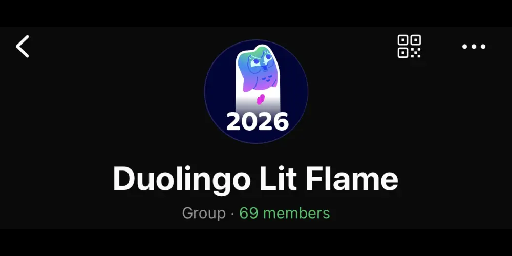 Imagem do grupo de WhatsApp Duolingo Estudos em Grupo