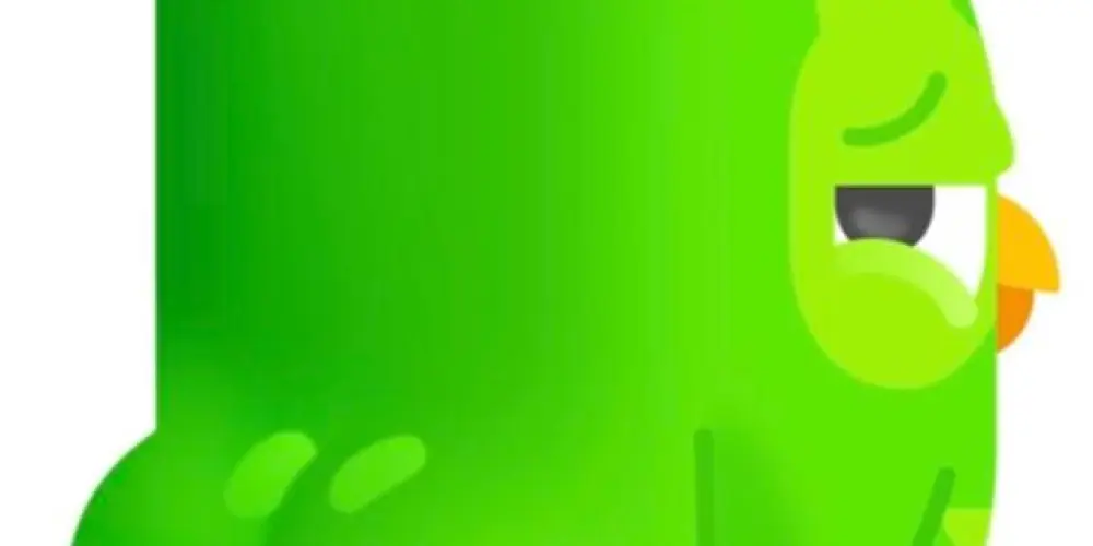 Imagem do grupo de WhatsApp DUoLINGO.ZzZ