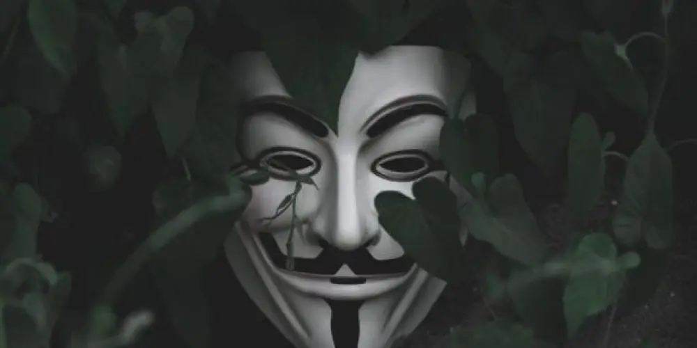 Imagem do grupo de WhatsApp Duskwood/Moonvale 🔎