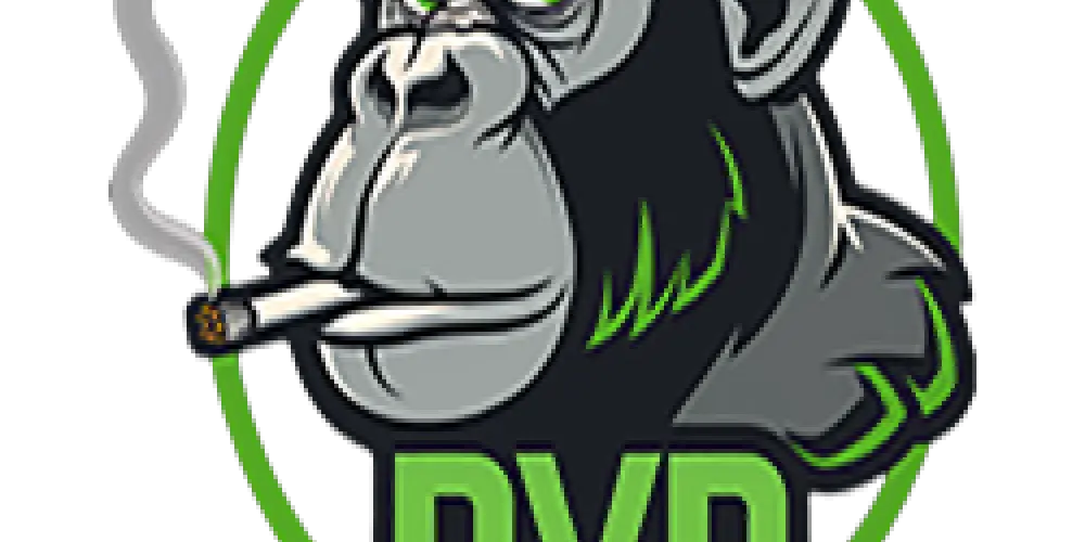 Imagem do grupo de WhatsApp DVDs