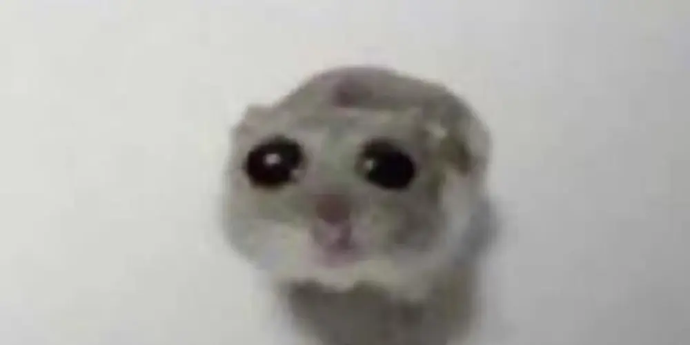 Imagem do grupo de WhatsApp ᥴᥙᥣ𝗍᥆ ძ᥆ rᥲ𝗍іᥒ★‡