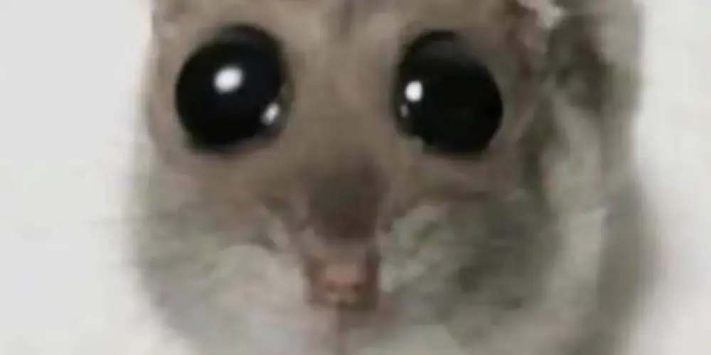 Imagem do grupo de WhatsApp ᥴᥙᥣ𝗍᥆ ძ᥆ rᥲ𝗍o