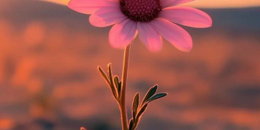 Imagem do grupo de WhatsApp 🪷֟፝͜͡͡𖹭ѕa፝͜raн 𖹭 ѕтaͦ͜тᷫυͨѕ𖹭֟፝͜͜͡🪷