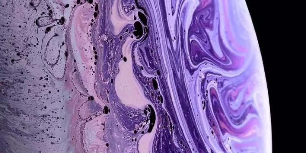 Imagem do grupo de WhatsApp 𝐾𝐾𝐾 𝐸𝑆𝑆𝐸 É 𝑂 𝑁𝑂𝑉𝑂 𝑀𝑈𝑁𝐷𝑂