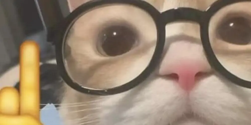 Imagem do grupo de WhatsApp 𝑽𝒊𝒓𝒋𝒐𝒍𝒂𝒔 𝑶𝒏𝒍𝒊𝒏𝒆乀(ˉεˉ乀)