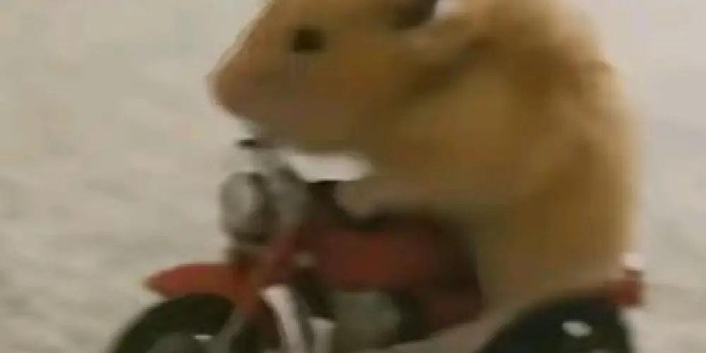 Imagem do grupo de WhatsApp 𝐎 𝐦𝐮𝐧𝐝𝐨 é 𝐧𝐨𝐬𝐬𝐨!