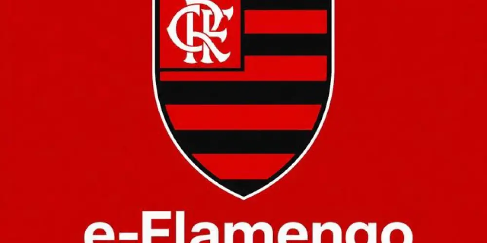 Imagem do grupo de WhatsApp e-Flamengo