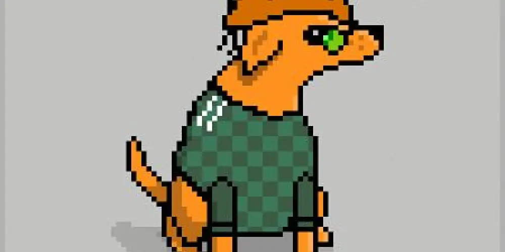 Imagem do grupo de WhatsApp É o nordeste B!