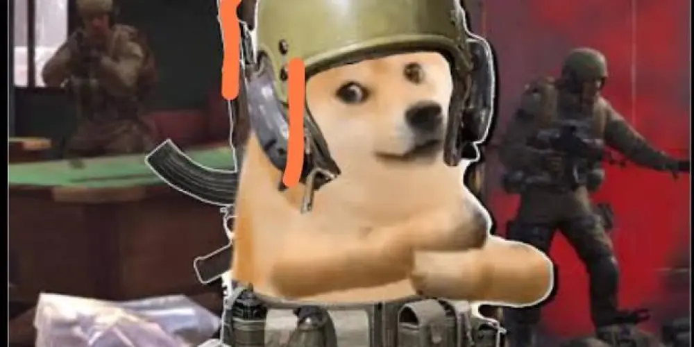 Imagem do grupo de WhatsApp É uma selva? E esses macaco