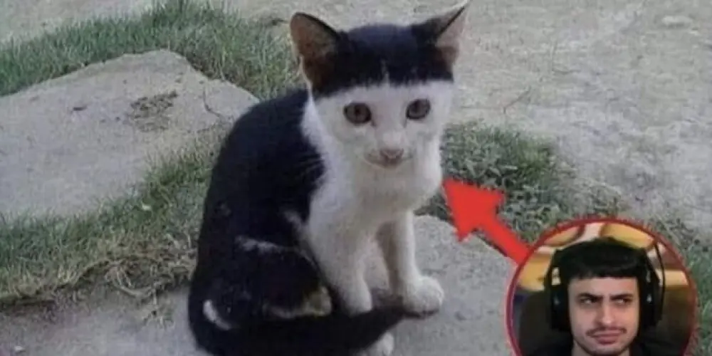 Imagem do grupo de WhatsApp É us guri do uatizap rsrsrs🥵🥵
