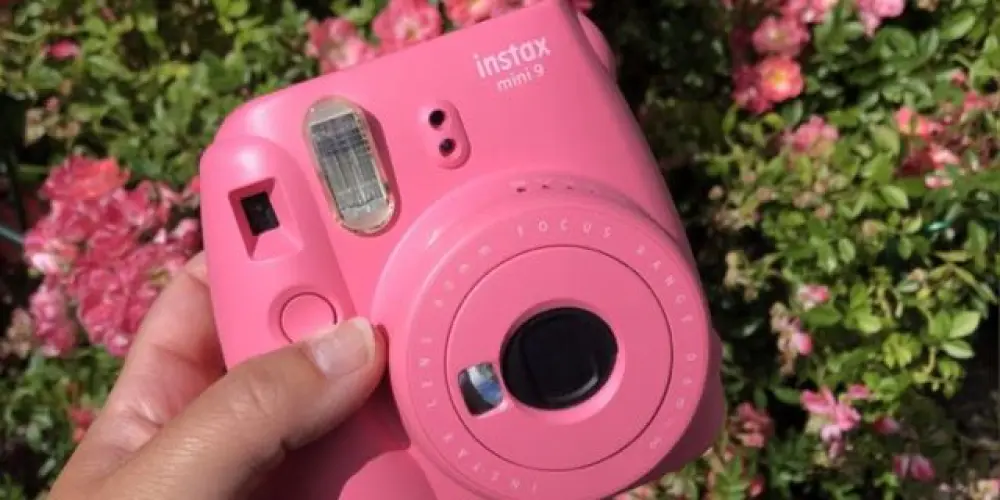 Imagem do grupo de WhatsApp Edições Carvalho