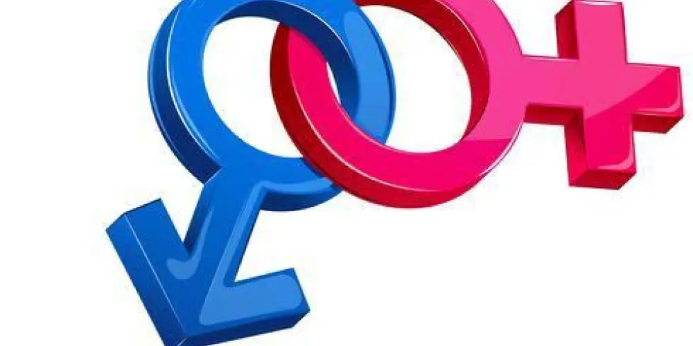 Imagem do grupo de WhatsApp Elas e eles