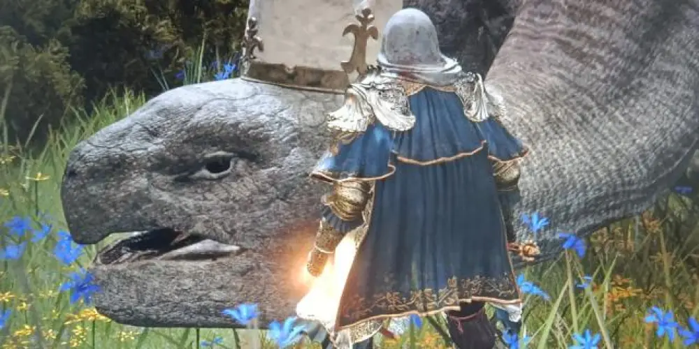 Imagem do grupo de WhatsApp Elden Ring Dúvidas