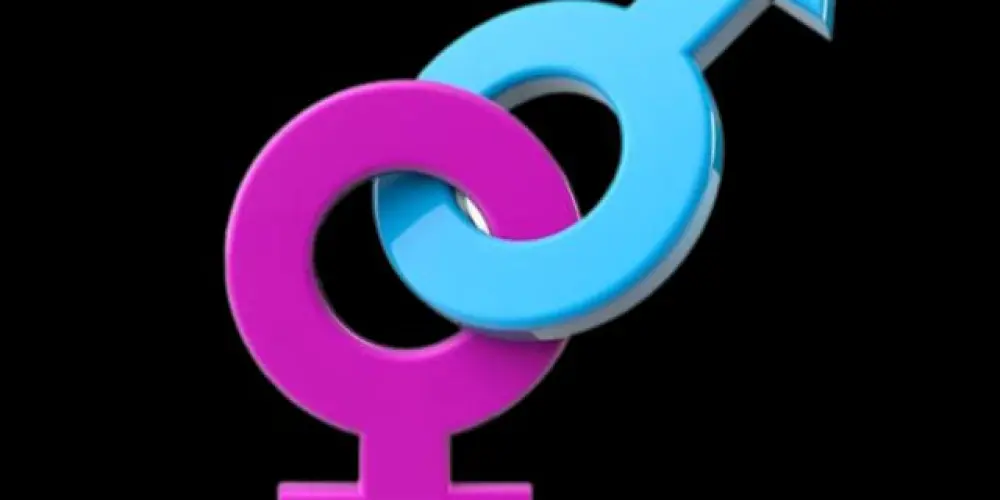 Imagem do grupo de WhatsApp ♂️ ELES - & - ELAS ♀️