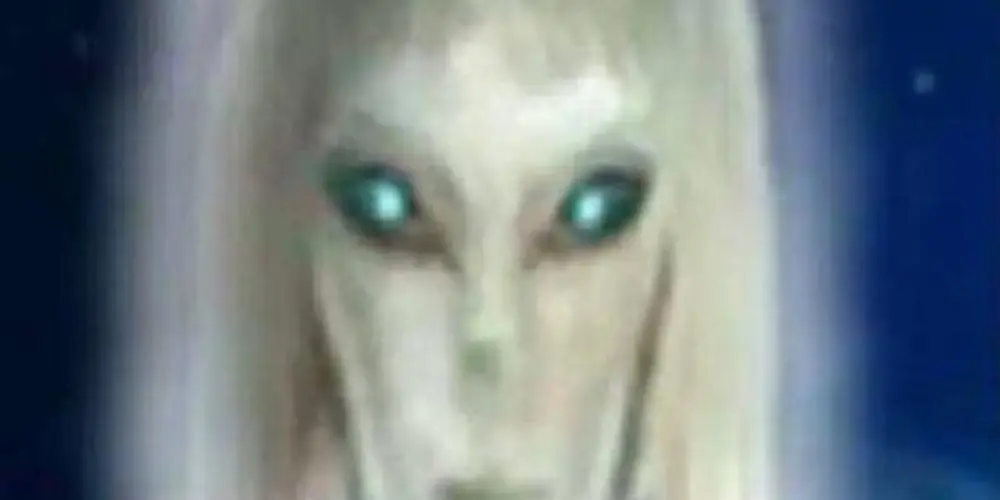 Imagem do grupo de WhatsApp Eles tão Diolho en Nois