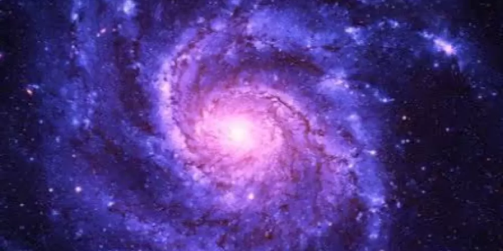 Imagem do grupo de WhatsApp ElitÆ 🌎🥀🌚🪷🦚