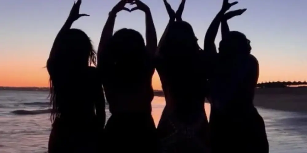 Imagem do grupo de WhatsApp Elite Feminina (ES)💅🌸