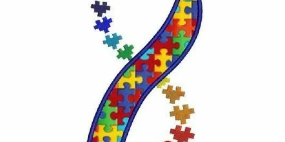 Imagem do grupo de WhatsApp Em busca do amor