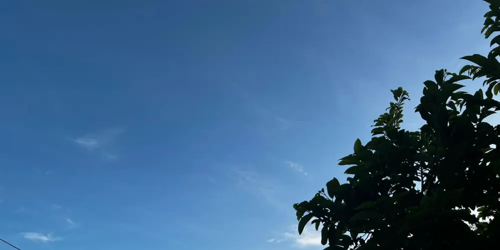 Imagem do grupo de WhatsApp Emagrecimento Saudável