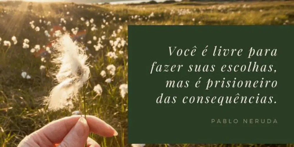 Imagem do grupo de WhatsApp 💫 Emocionalmente Forte | Recomeços e Reflexões