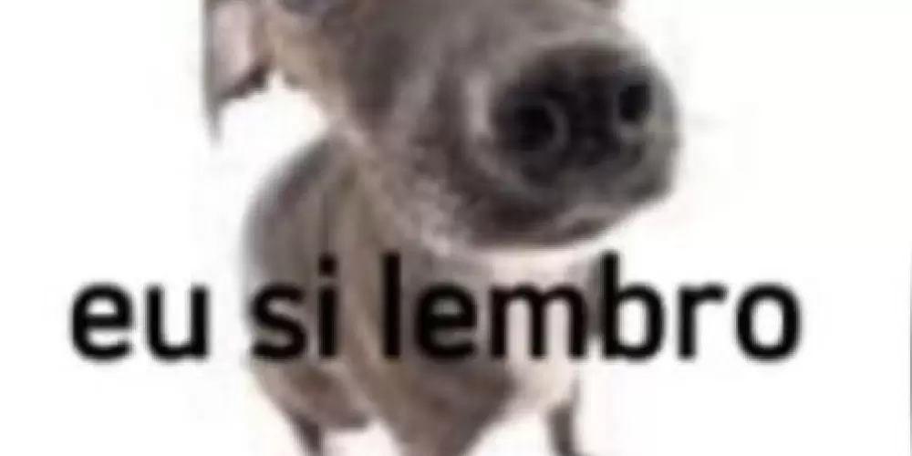 Imagem do grupo de WhatsApp Encalhados