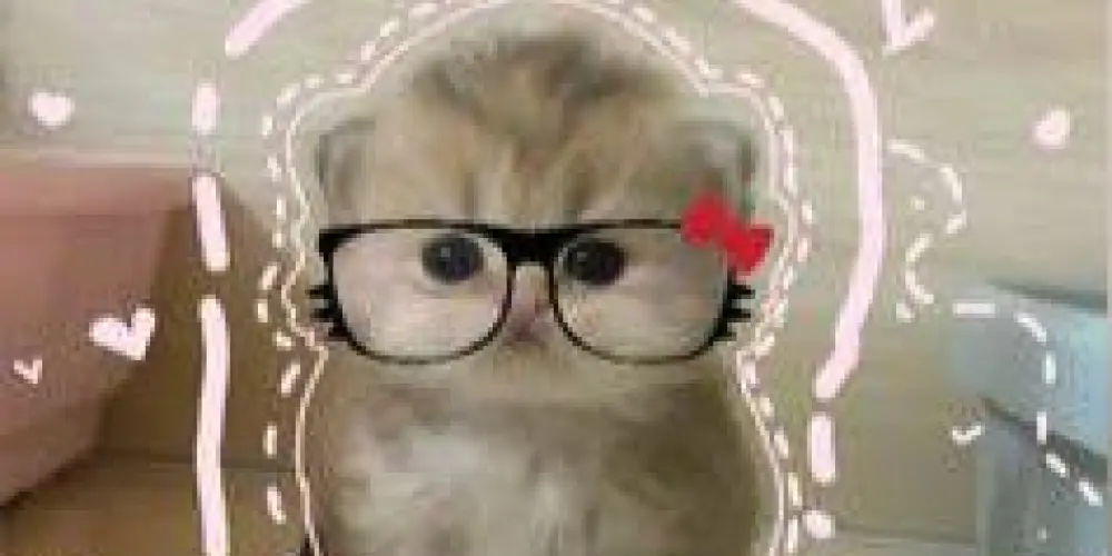 Imagem do grupo de WhatsApp Engajamento De Divas 💕🚺