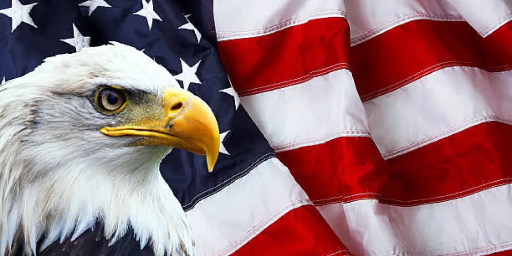 Imagem do grupo de WhatsApp English USA