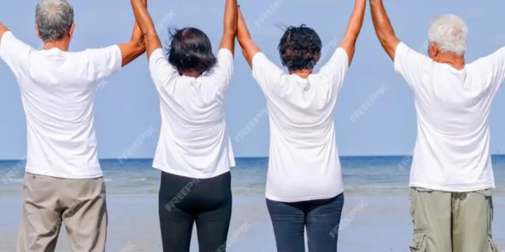 Imagem do grupo de WhatsApp Entre a 2°e a 3° idade