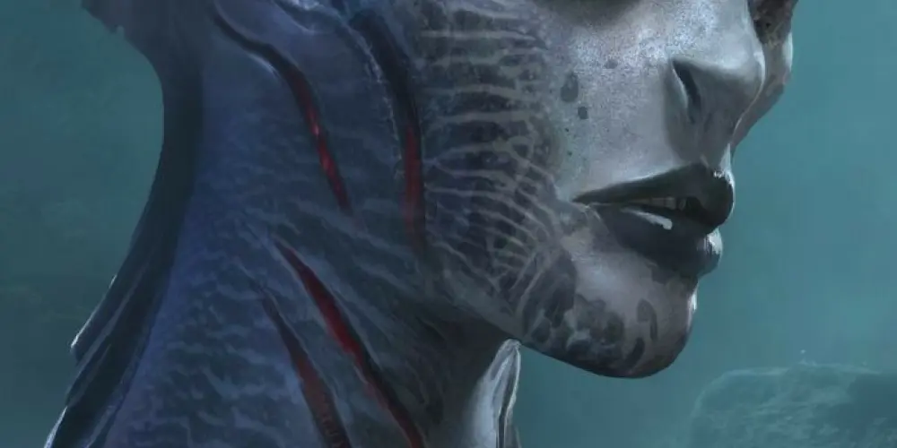 Imagem do grupo de WhatsApp ENTRE BORA AMIGAR