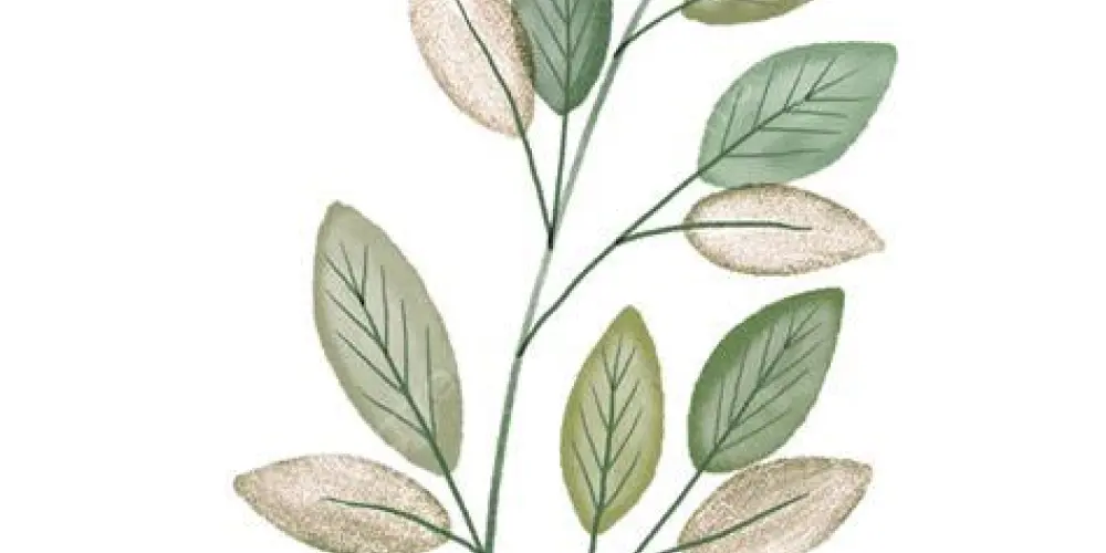 Imagem do grupo de WhatsApp ENTRE ELAS 🌹