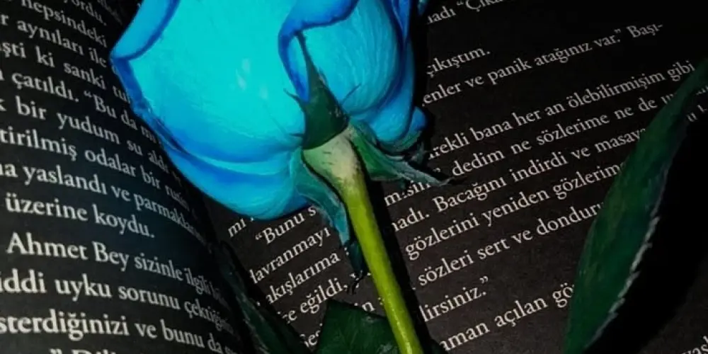 Imagem do grupo de WhatsApp ENTRE PALAVRAS