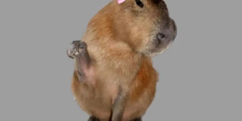 Imagem do grupo de WhatsApp ENTREN TODOS AMIGOS