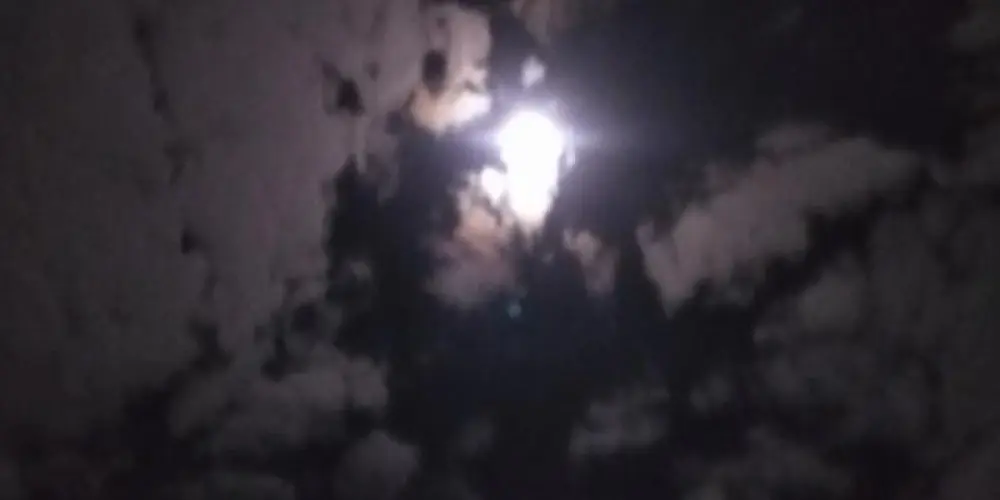 Imagem do grupo de WhatsApp Entreterimento