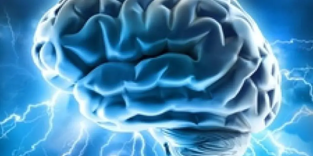 Imagem do grupo de WhatsApp Epilepsia