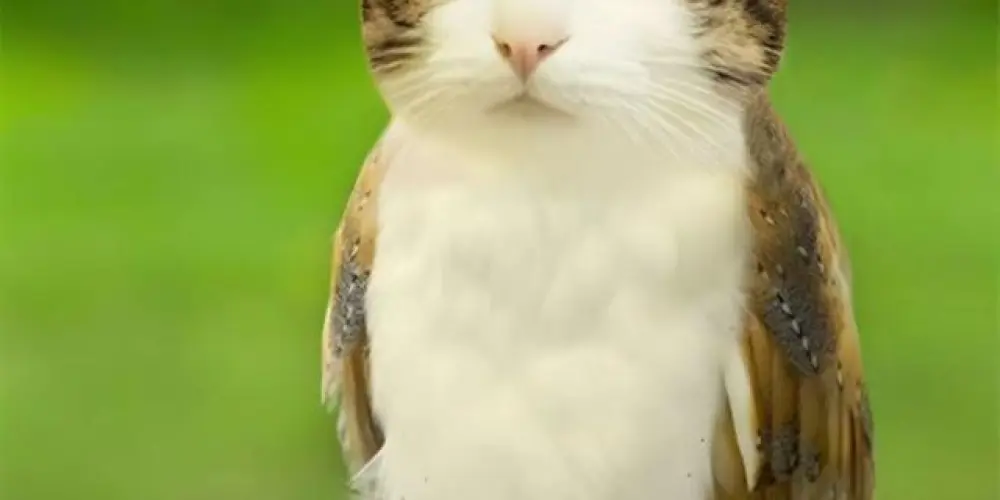 Imagem do grupo de WhatsApp Epst3in sheets